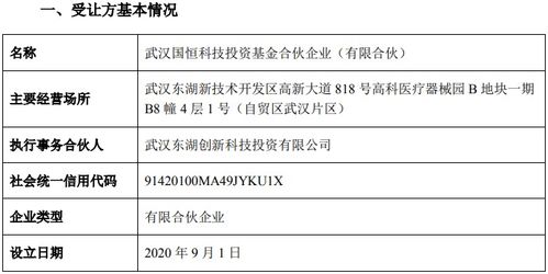 華工科技股份轉(zhuǎn)讓取得新進(jìn)展 國恒基金通過受讓審核