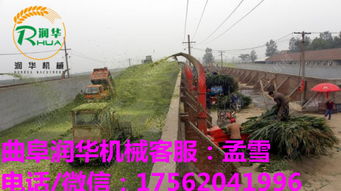 自動(dòng)化浪潮下的畜牧飼料利器 多功能碎草機(jī)與鍘草機(jī)智造升級(jí)趨勢(shì)解析